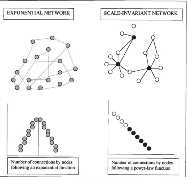 Figure 5. In the exponential network. the number of connections is randomlydistribuled