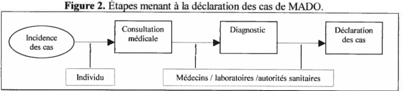 Figure 2. Étapes menant à la déclaration des cas de MADO.