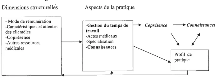 Figure 3 : Illustration des boucles de causalité Dimensions structurelles Aspects de la pratique