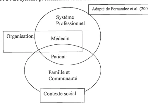 Figure 2 : Le système professionnel vs les autres niveaux