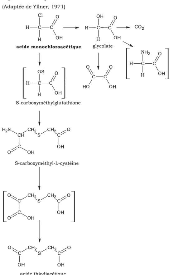 Figure 4. Étapes dans le métabolisme de l’acide monochloroacétique (Adaptée de Yllner, 1971) cl O H—C-—C H OH os // H—C—C H OH S-carboxyméthylglutathione H2NCH2CH2O C OH O OH acide thiodiacétique acide monochioroacétique4, OH H—C—C COHOHglycolate[ NH2J //IH—C—CIo\\//HOH]C—C/HOOHS-carboxyméthyl-L-cystéineC HC H2COHOH