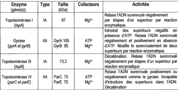 Tableau I. Propriétés des topoisomérases de E. cotL Reproduit de Sinden,