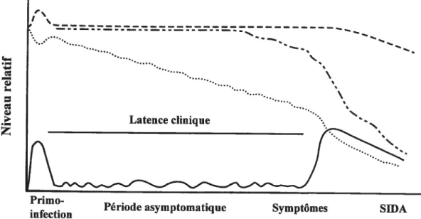 Figure 1. Représentation schématique de la progression de ta maladie induite