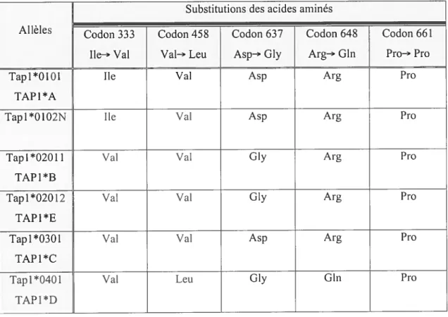 Tableau 3 Les différents allèles de TAPi basés sur les substitutions d’acides aminés