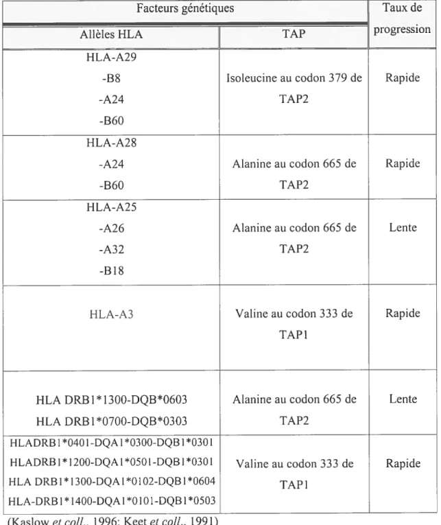 Tableau 5 Relation entre des aÏlèles HLA et des polymorphismes de TAP scir la