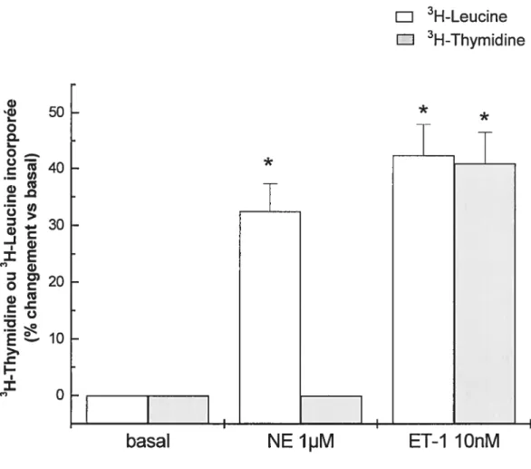 Figure 8 Effet de NE et ET-J sur l’incorporation de [3H1-Thymidïne ou [3H]-Leucine au niveau des myocytes cardiaques de rats nouveau-nés.