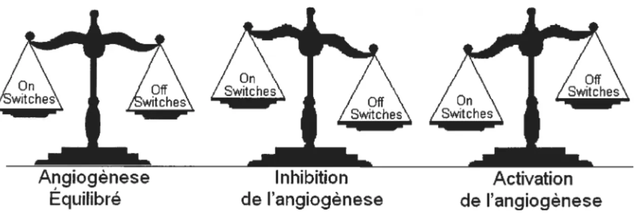 Fig 1.3. L’équilibre angiogénique. L’angiogènese est régulée de façon réciproque par des activateurs (On Switches) et des inhibiteurs (Off Switches) de l’angiogènese.