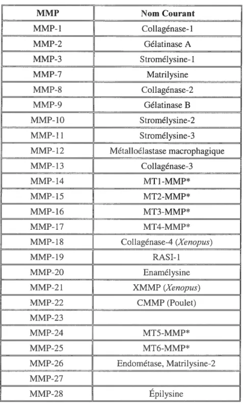 Tableau 1. Nomenclature des MMPs. À ce jour, 25 différentes MMPs ont été identifiées, dont 22 versions homologues ont été trouvées chez l’homme