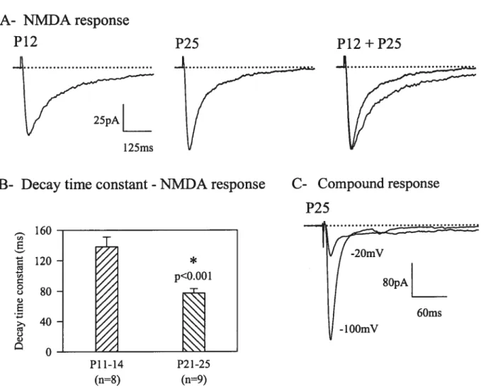 Figure 7. A. NMDA receptor-mediated EPSCs recorded at a holding membrane potential of