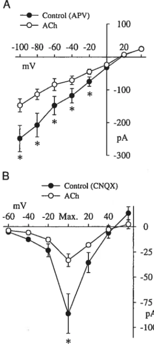 FIG. 3. A: average IR•Vm of the AMPA/KA receptor-mediated EPSC re corded in the presence of APV (50 M) and BMI (10 jcM) before (control) and during (ACh) the addition of ACh (100 M) to the superfusing medium (n 7)