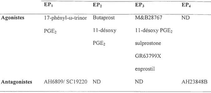 Tableau III: Agonistes et antagonistes sélectifs des sous-types de récepteurs EP d’après