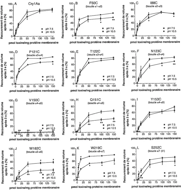 Figure 12 Capacité des mutants cystéine à former des pores.