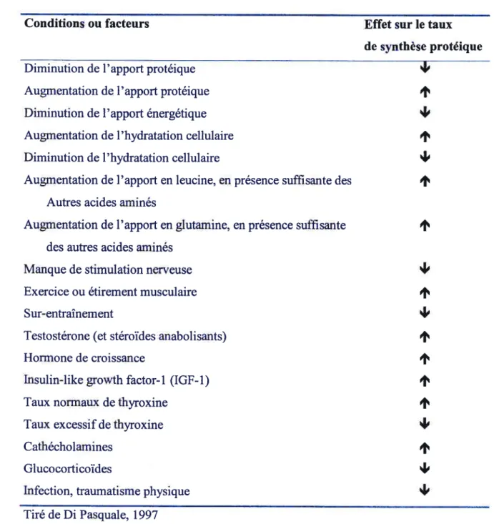 Tableau I t Conditions et facteurs affectant la synthèse protéique