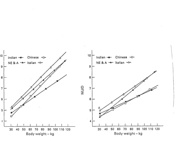 Figure 5: Droites des moindres-carrés de la DEB (mI/jour) relativement au poids corporel pour les hommes (figure de gauche) et les femmes (figure de droite) d’origine indienne,