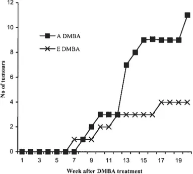 Figure 2: Latency appearance of palpable mammary tumour post-treatmdnt.