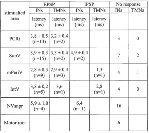 Table III : Synaptic responses of INs and TMNs to stimulation of adjacent trigeminal interneurons.