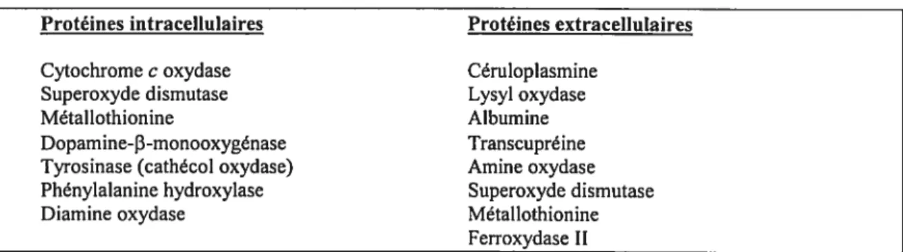 Tableau II. Enzymes et protéines dont la fonction dépend du cuivre chez les mammiferes (modifié de (6)).