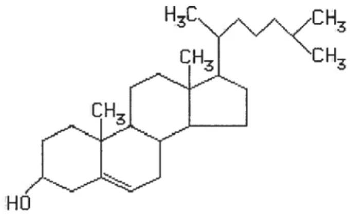 Figure 1. Structure de la molécule de cholestérol