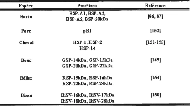 TABLEAU 1. Homologues des protéines BSP chez différentes espèces de mammifères