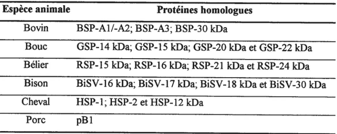 Tableau II: Homologues aux protéines BSP chez différentes espèces animales