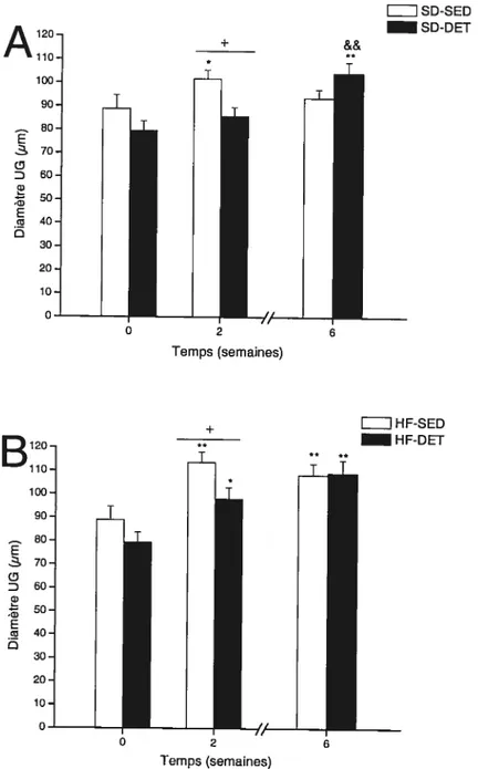 fig. 9. Diamètre des cellules du tissu adipeux urogénital (UG) chez les rats nourris