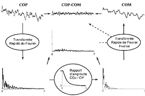 figure 5 : Synoptique des différentes étapes nécessaires pour la détermination des mouvements de COP-COM et de COM sur une direction