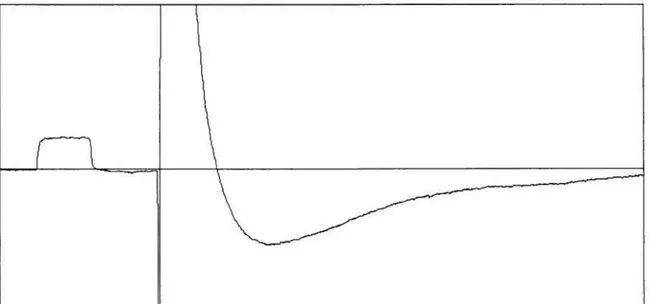 Figure 3.5 Représentation de la moyenne de 40 après hyperpolarisations (AHP) suivant un potentiel d’action orthodromique produit par un courant supra-maximal de 1 ms précédé par une calibration de 1 mV d’une durée de 10 ms.