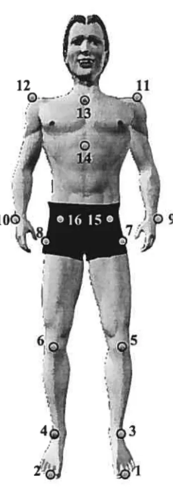 Figure 4.1. Location of the 16 LEDs defining the 13-segment mode! to estirnate body COM