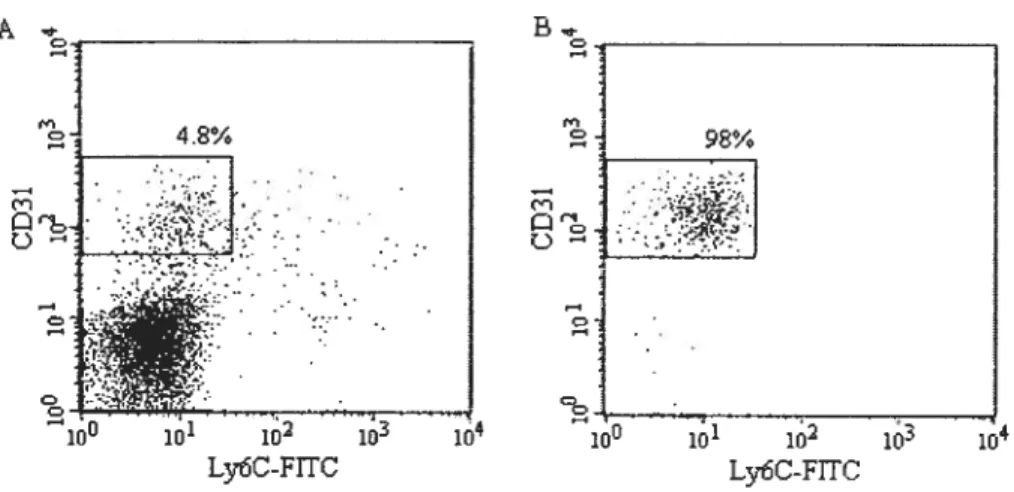 Figure 3: Exemple de tri de cellules de type progéniteur de foie foetal 14.5dpc
