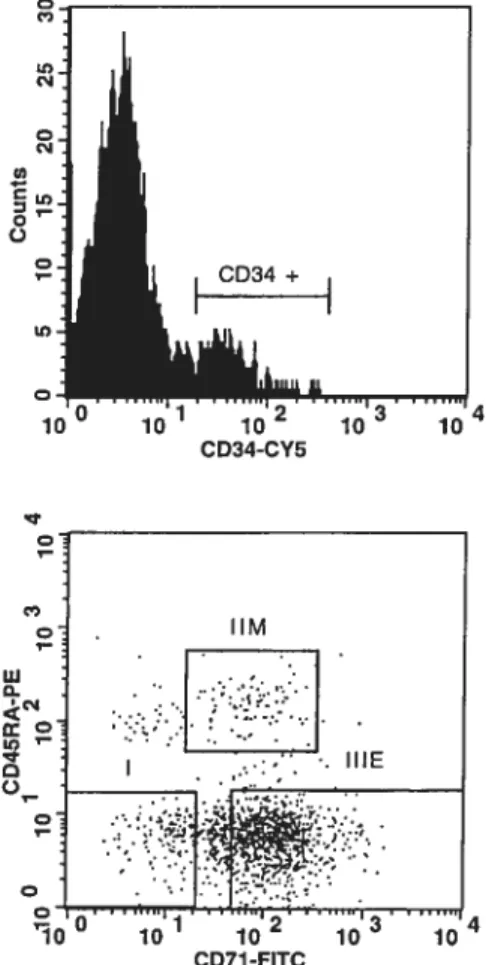Fig. 2.1 FACS profiles of the CD34 subpopuÏations isolated from donor no. 1: subpopulation I, CD34CD45RACD7F (highly enriched in LTC-IC); subpopulation 11M, CD34CD45RACD7 110 (highly enriched in CFU-GM); subpopulation 111E,