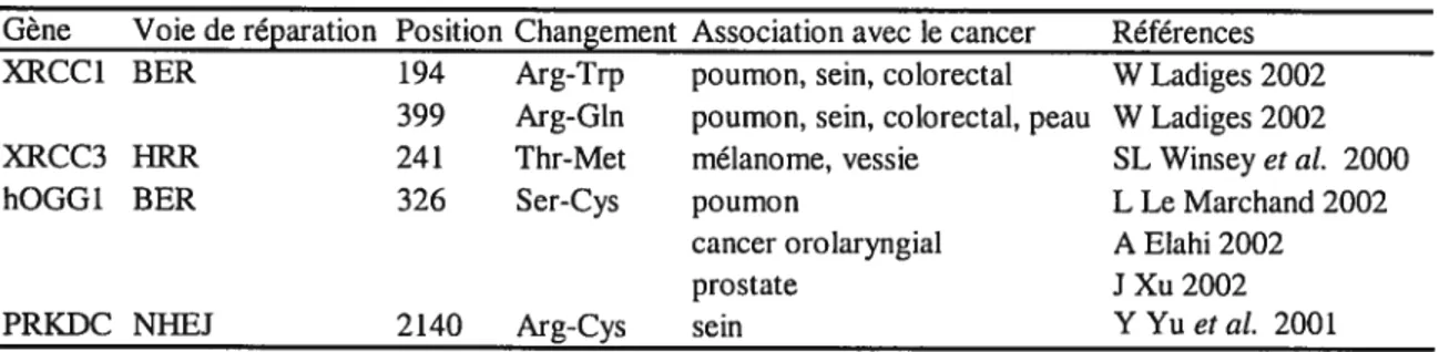 Tableau V. Liste partielle d’étude d’association montrant un effet entre la présence de polymorphismes et le risque de développer un cancer
