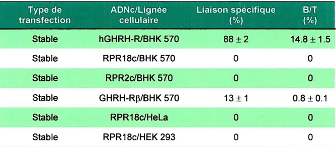 Tableau 1. Résultats de mise au point des conditions d’expression du GHRH-R.