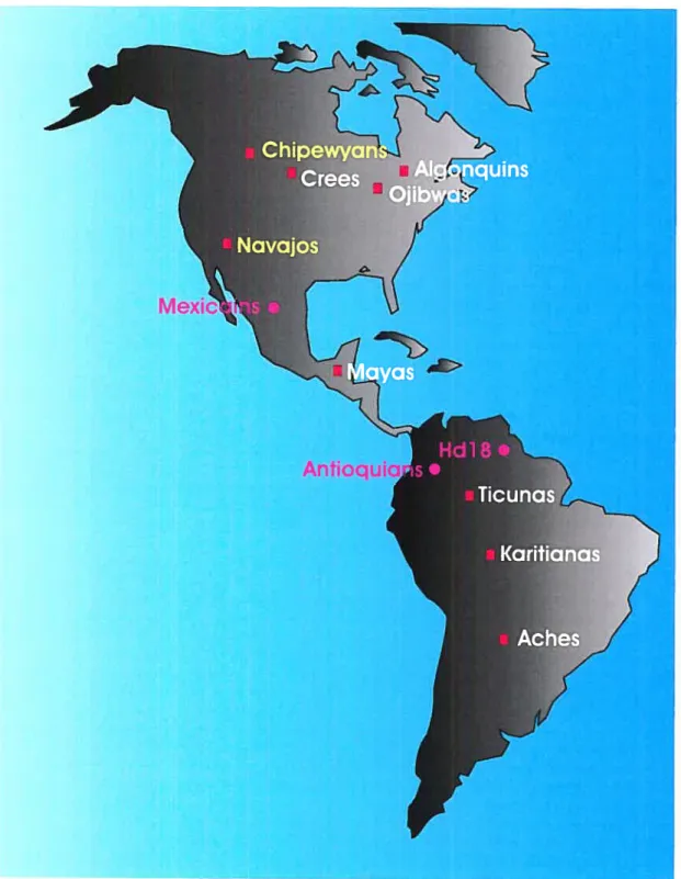 Figure 3 Localisation des populations Amérindiennes étudiées. En blanc, les