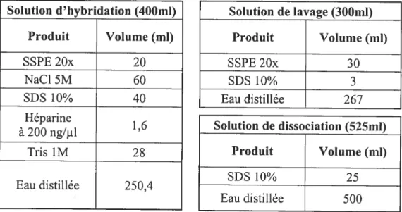 Tableau XI: composition des solutions utilisées lors de l’hybridation ASO.