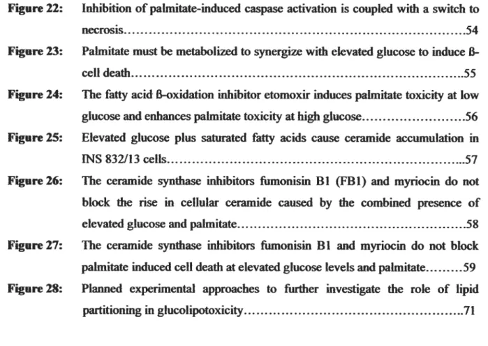 Figure 22: Inhibition ofpalmitate-induced caspase activation is coupled with a switch to