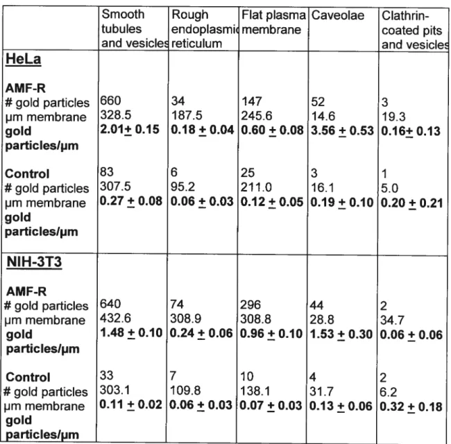 Table 1: Localization of AMF-R in HeLa and NIH-3T3 cells by