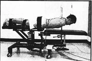 Fig. 08 Test de fatigue en position couché ventral (Sorensen)