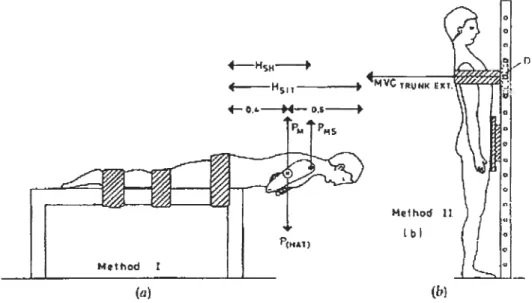 figure 1. Test Sorensen (a) (mesures anthropométriques et biomécaniques pour calculer le %