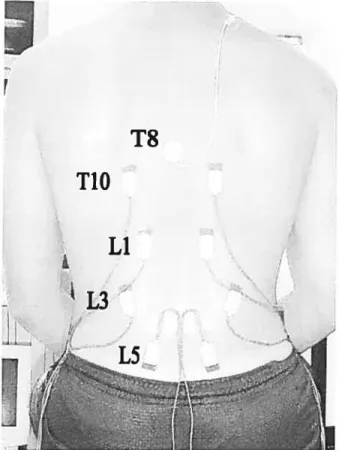 Figure 6. Musculature évaluée et positionnement des électrodes, L5 (multilïde 3 cm du centre), L3 (ilio-costal 5 cm du centre), Li (long dorsal 3-4 cm du centre), T1O (long dorsal du thorax 4-5 cm du centre) et 18 (référence).
