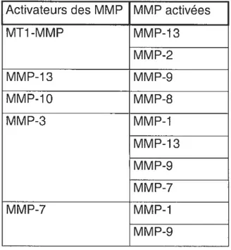 Tableau 2 — L’activation des MMP par les MMP