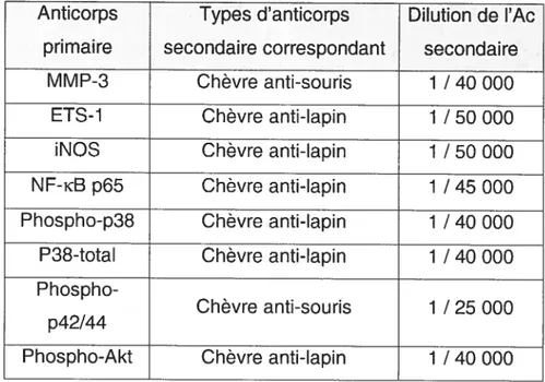 Tableau 7: Anticorps secondaires utilisés pour analyse par Western blot