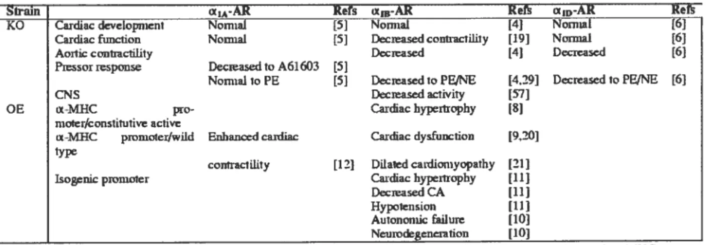Tableau 1. Effets physiologiques causés par l’altération de l’expression du gène du récepteur Œ1-AR chez la souris.