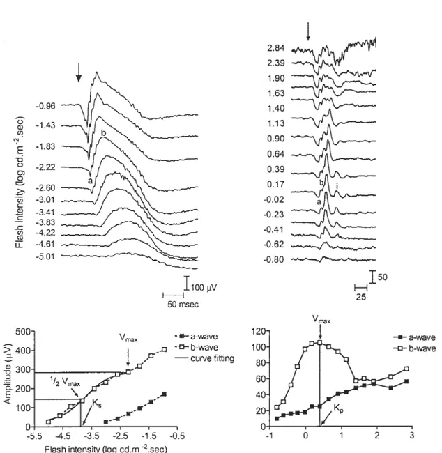 Figure 1 o L’, E u c3) o U) o cl) o -o U) Ccl w 500 400 w D  200- 100--0.96-1.43-1.83-2.22-2.60-3.01-341-3.83-4.22-4.61-5.01 2.84 2.391.901.631.40t130.900.640.390.17-0.02-0.23-0.41-0.62-0.80100 iV50 msecVmax 150HH25-—a-wave—curie fiffing1:13X/Ks.ZZr a-wave—o— b-wave -5.5 -4.5 -3.5 -2.5 -1.5 -0.5