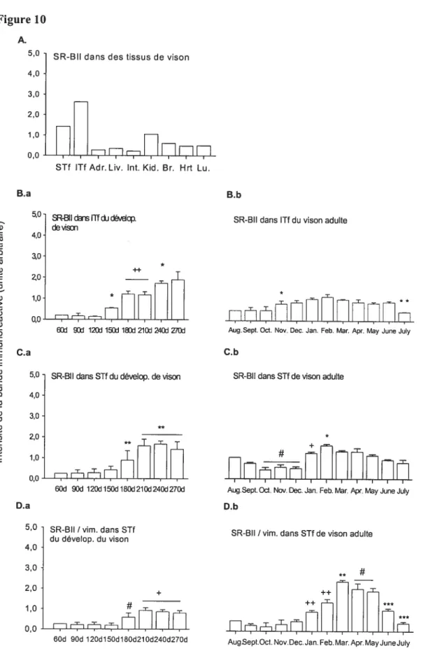 Figure 10 A. 4,0 3,0 2,0 1,0 0,0 B.a 4,0 3,0 zo 1,0 B.b