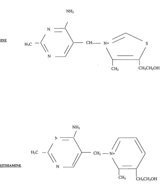 figure 1.1 Chemical structures of thiamine and pyrithiamine.