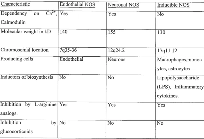 Table 1. Characteristics of human NOS isoforms