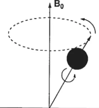 Figure 6. Noyau en précession à la fréquence de Larrnor dans le champ magnétique