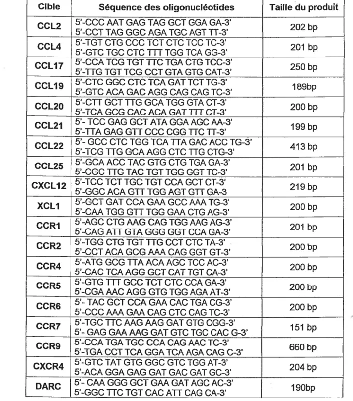 Tableau Il: Liste des oligonucléotides utilisés pour les réactions de RT-PCR.