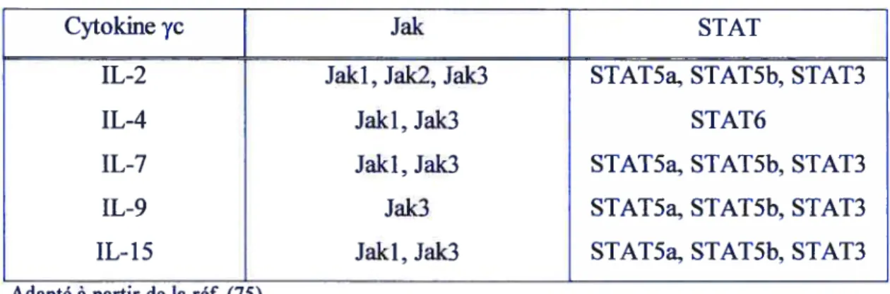 TABLEAU III. JAK!STAT ACTIVÉES PAR LES CYTOKINES y