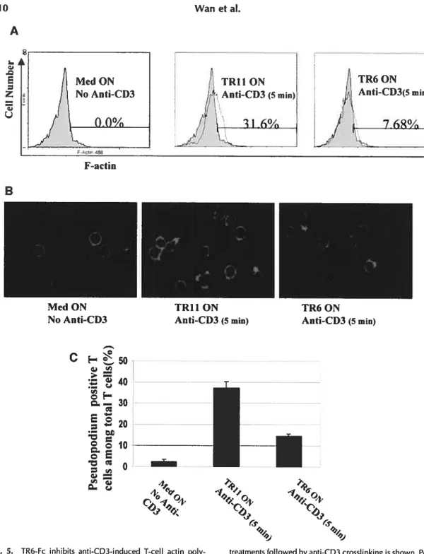 Fig. 5. TR6-Fc inhibits anti-CD3-induced T-cell aCtin poly